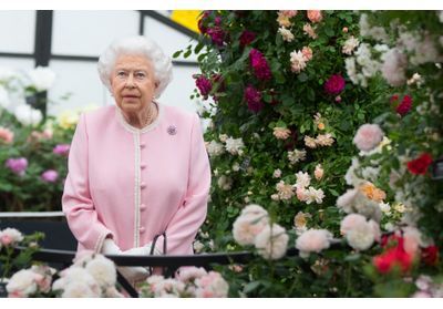 Décès d'Elisabeth II : où la reine sera-t-elle enterrée ?