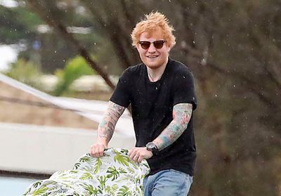Ed Sheeran : « Ma fille n'est pas ma plus grande fan »