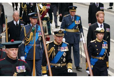 Funérailles d'Elisabeth II : une star de « Grey's Anatomy » était présente à Westminster