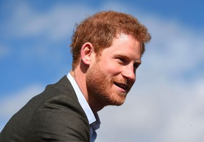 Harry, de prince rebelle à prince modèle