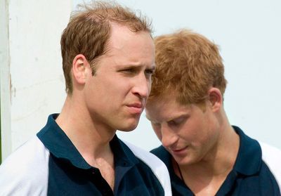 Harry et William : de l'union sacrée à la rupture