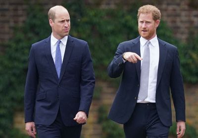 Harry et William : une « mauvaise relation » qui dure
