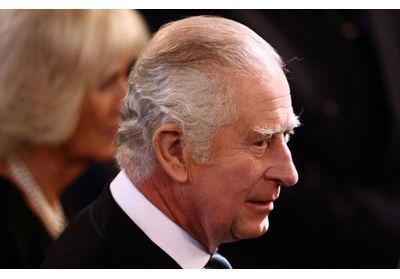 « Je promets de suivre ses pas » : le roi Charles III reçu au Parlement avec la reine Camilla