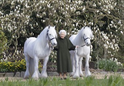 Jubilé d'Elisabeth II : cette surprise que lui préparent ses arrière-petits-enfants