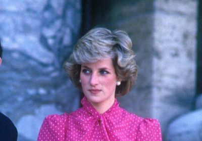Lady Diana : un portrait inédit de la princesse dévoilé