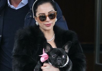 Lady Gaga : le promeneur de ses chiens s'exprime depuis son lit d'hôpital après le drame