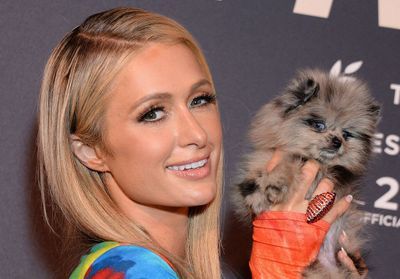 Paris Hilton annonce suivre un protocole de FIV pour devenir maman