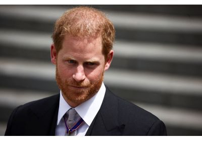 Prince Harry : il ferait une enquête sur la mort de sa mère Lady Di pour ses mémoires