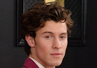 Shawn Mendes : son étonnante création pour sa fondation caritative