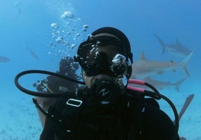 Will Smith : il surmonte sa peur en nageant avec des requins