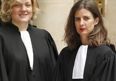 2012 sera l'année des dix ans de la loi du 4 mars 2002 et il importe d'évaluer son impact. Le combat de Camille Kouchner contre le Gardasil
