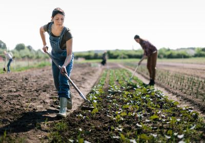 Agricultrices : d'épouses invisibles à travailleuses engagées
