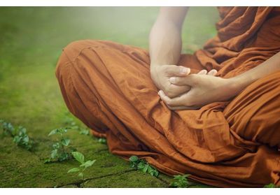 Abus sexuels dans le bouddhisme : « Je sentais qu'il m'arrivait quelque chose d'horrible »
