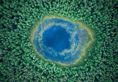 Aimer la nature comme un Indien d'Amazonie