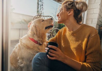 Animaux de compagnie : un tiers des Français ont un chien