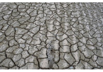 Canicule : un épisode « extrêmement précoce » qui inquiète