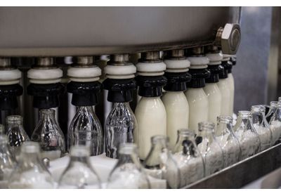 Canicule/: une pénurie de lait redoutée dans les prochains mois