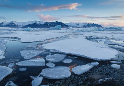 Climat : en Antarctique, la banquise n'a jamais été aussi réduite, les experts alertent