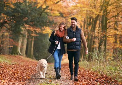 Comment bien accueillir un chien dans votre foyer ?