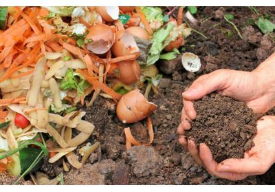 Compost : pourquoi faut-il s'y mettre ?