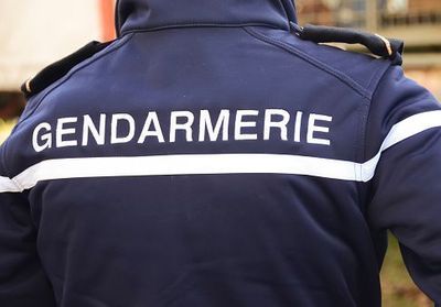 Condamné pour violences conjugales, un gendarme est promu puis démissionne devant le tollé