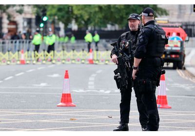 Deux policiers poignardés dans le centre de Londres, un homme arrêté
