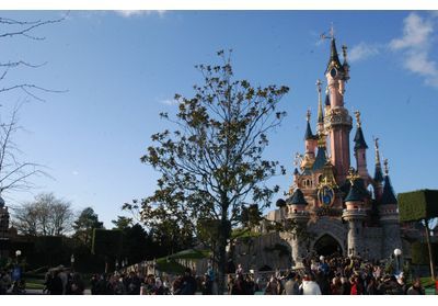 Disneyland Paris/: une demande en mariage féérique interrompue par un employé du parc