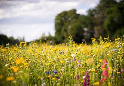 Eco anxiété, angoisse climatique... la solution pour sauver la planète ?