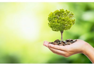 Écologie : votre argent est-il propre?