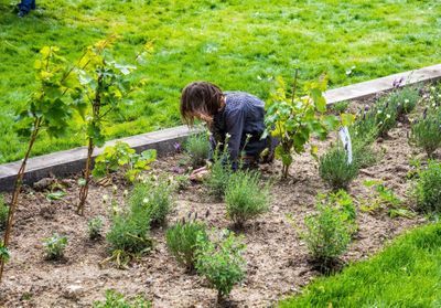 ELLE s'engage avec vous pour la biodiversité : sauver le vivant, agir maintenant !
