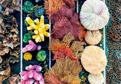 « ELLE » s'engage : le talent de ces migrants artisans