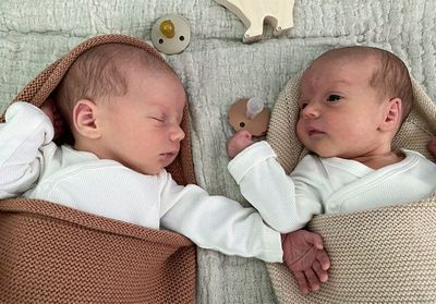 États-Unis : des jumeaux naissent 30 ans après la congélation de leurs embryons