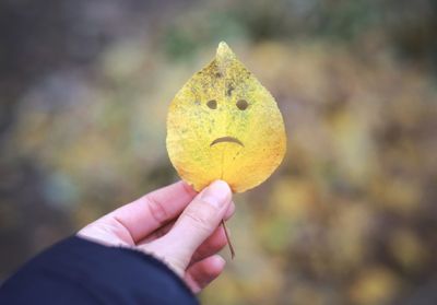 Il faut supprimer le mois de novembre