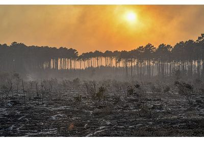 Incendies en Gironde/: 6.000 personnes ont pu réintégrer leur foyer