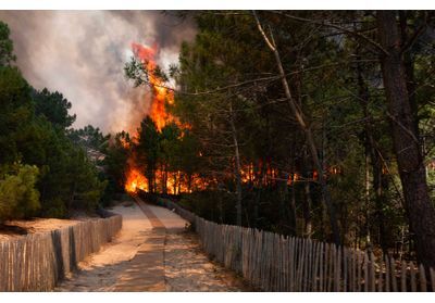 Incendies en Gironde : une dizaine d'animaux du zoo d'Arcachon n'a pas survécu