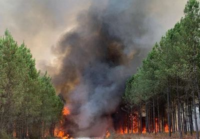 Incendies : Gérald Darmanin appelle les employeurs à libérer les pompiers volontaires