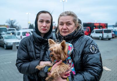 « Je me sens brisée » : avec ces Ukrainiennes qui ont fui la guerre pour la Pologne