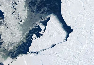 L’Antarctique connait des records absolus de température 