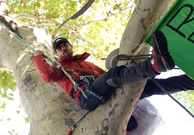 L'homme qui sauvait les arbres : portrait du lanceur d'alerte Thomas Brail