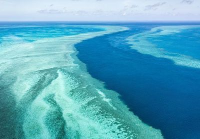 La Grande Barrière de corail en proie à « un vaste phénomène de blanchissement » 