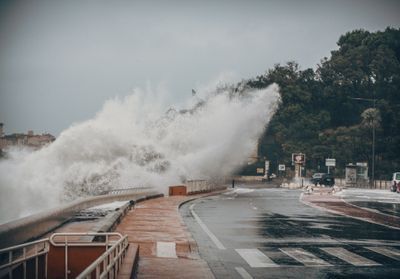 Le déclin de la nature... à quel coût ? 3 questions à une experte