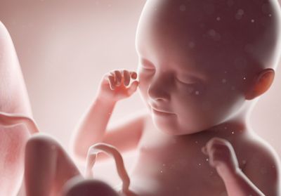 Les bébés réagissent différemment aux saveurs dans le ventre de leur mère