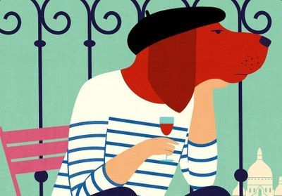 Parisien tête de chiens ? Enquête sur les mauvais éléves du confinement