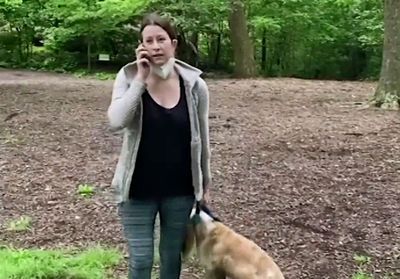 Phénomène : de quoi « Karen » est-elle le nom ?