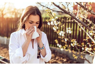 Pic de pollen ce week-end : comment ne pas aggraver l'allergie ?