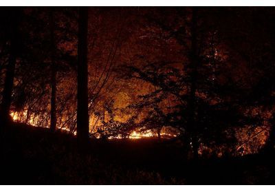 Pompier pyromane dans l'Hérault : ce que l'on sait à son sujet