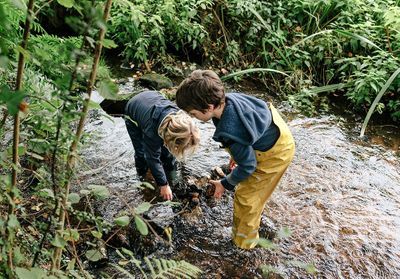 Reportage : faire l'école dans la forêt