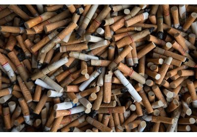 Tabac : un impact « désastreux » sur l'environnement, selon l'OMS