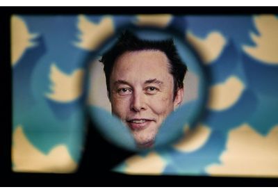 Twitter : Elon Musk, analyse d'un management perché