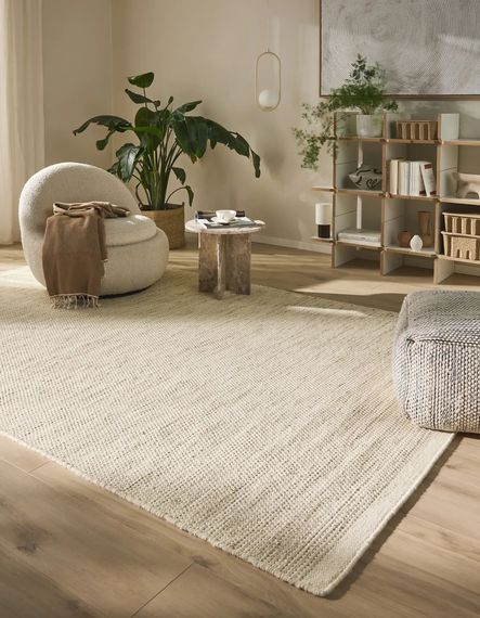 Quelles plantes choisir pour un intérieur épuré et minimaliste ?